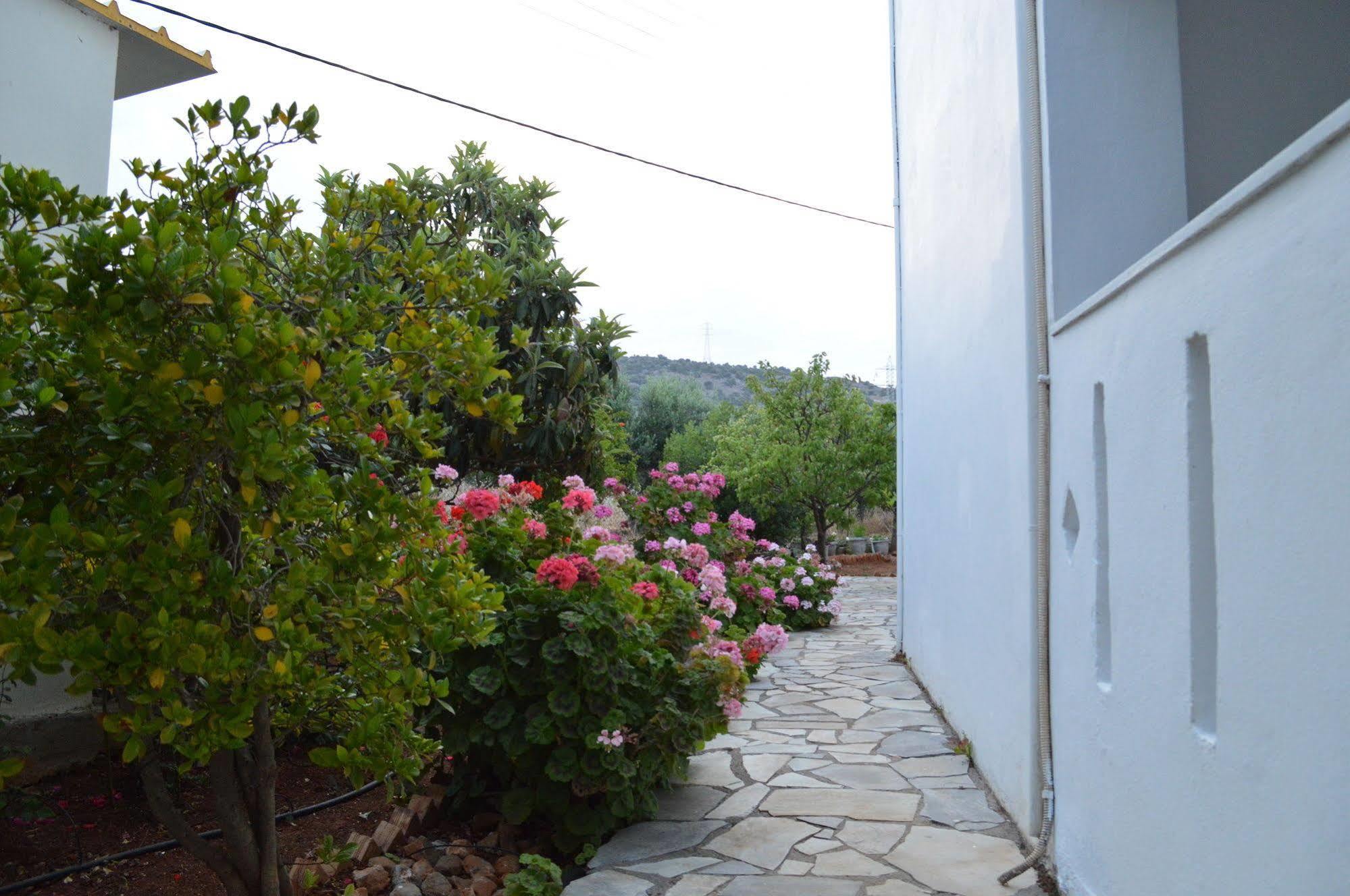 Nikos Apartments Сталида Экстерьер фото